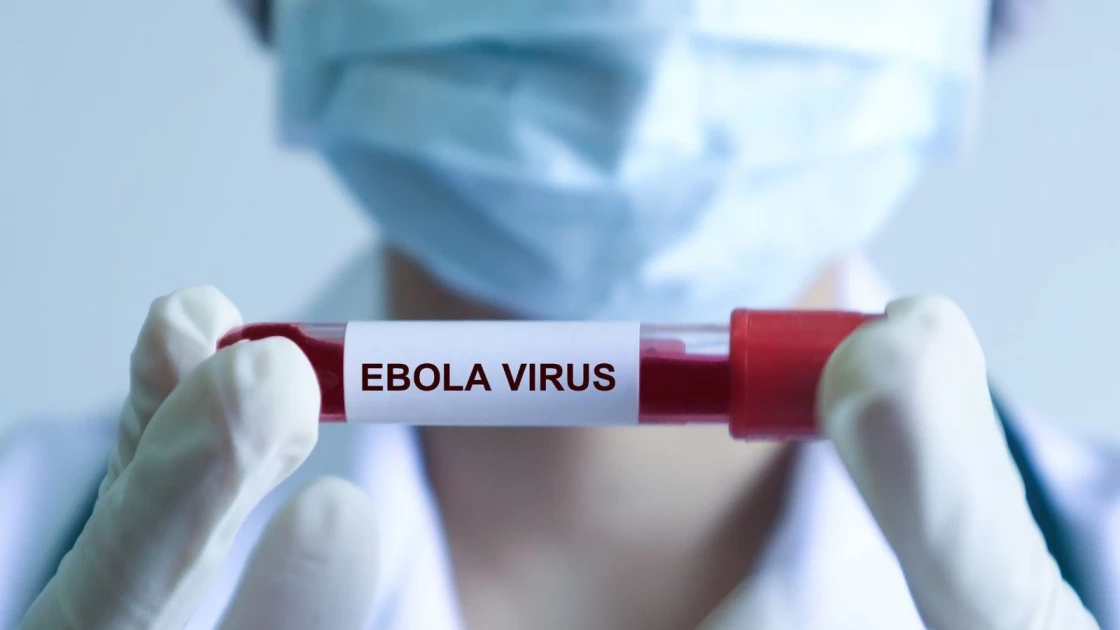 91546